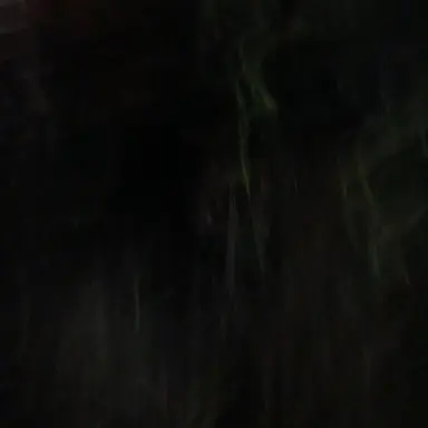 Profile image of 뉴비