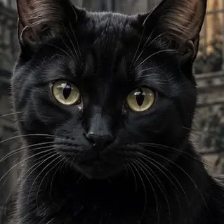 Profile image of ルナ