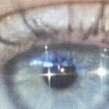 Profile image of 박덕개