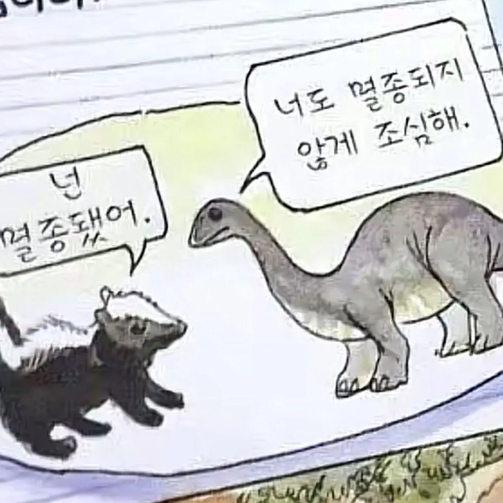 Wowed의 알아서