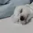 뜰팁