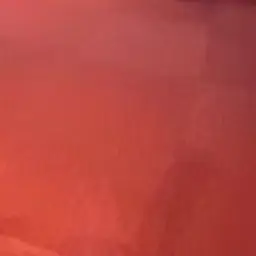 Profile image of 葛葉