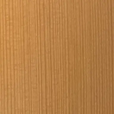 Profile image of 加賀美ハヤト