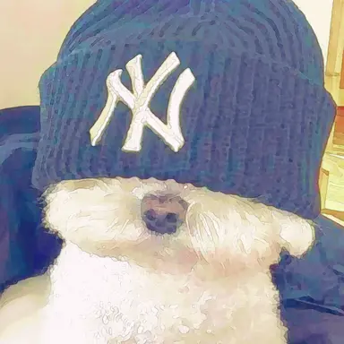 Profile image of IVE