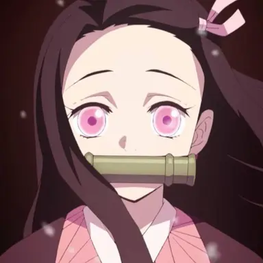 Profile image of 竈門禰豆子
