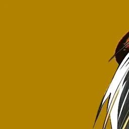 Profile image of らいと