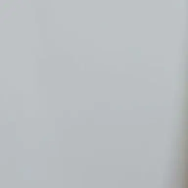 Profile image of 강한결