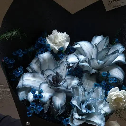 Tukasaki__의 後輩