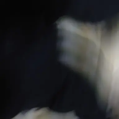 Profile image of りゅうた