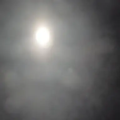 Profile image of モブ男