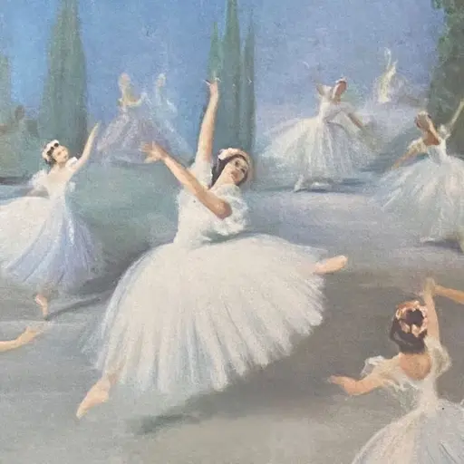 Ballet의 발레 대회를 나가보자⋆𐙚₊˚⊹♡🩰!