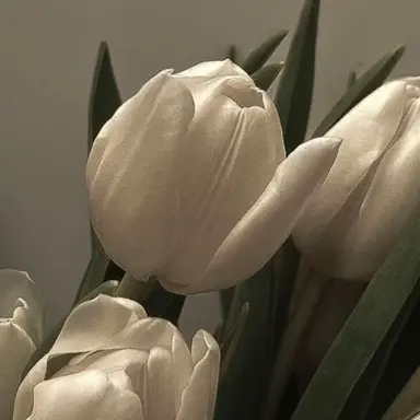 Profile image of 中原中也