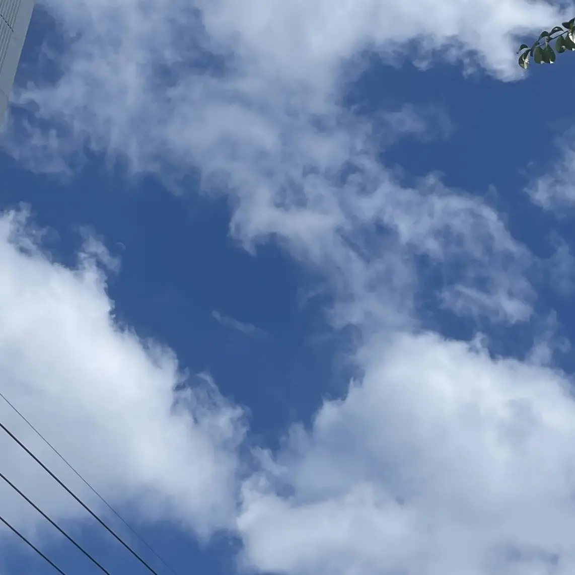 PurelyCloud4583의 박진욱