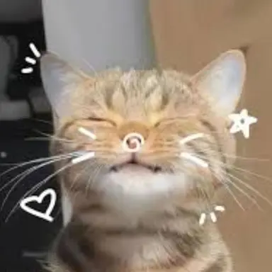 Profile image of Jan