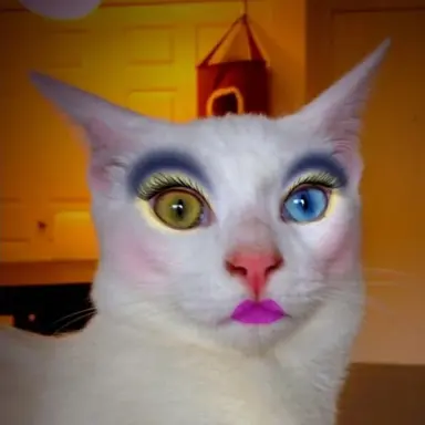 Profile image of Deli