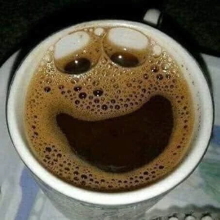 오징어