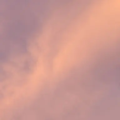 Profile image of 라더