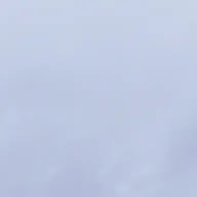 Profile image of スレ民