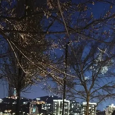 Profile image of そくみん