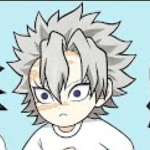 시나즈가와 사네미