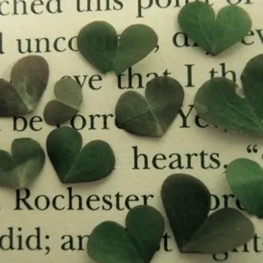 Profile image of 정공룡