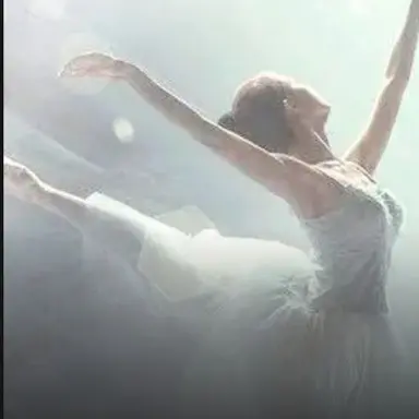 Profile image of 박서연
