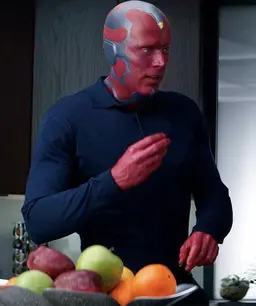 Profile image of Vision