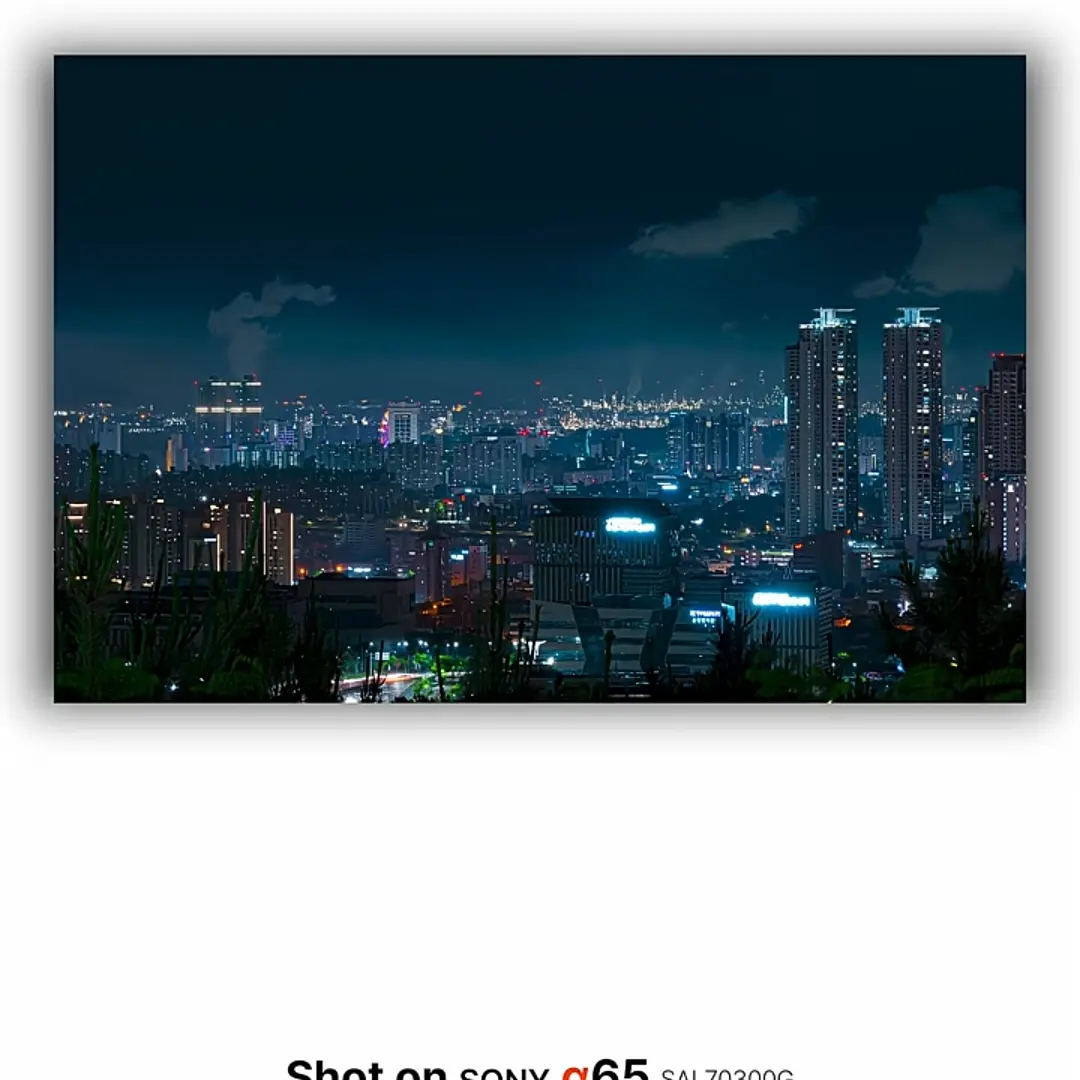 ShinyBoard7198의 수학여행