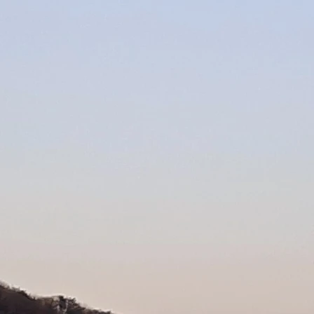 김해일