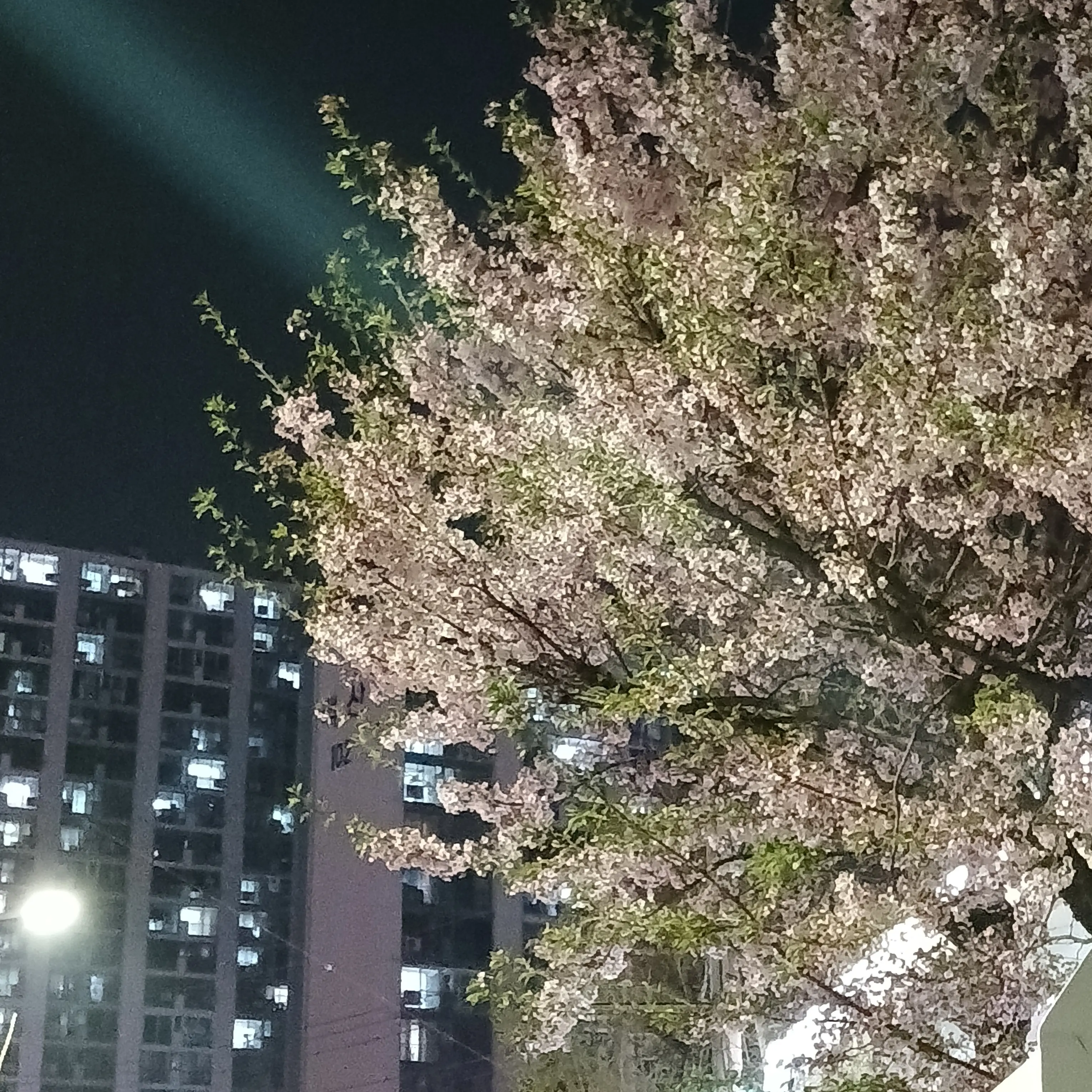 AmusedFloor5002의 소방관 친구들