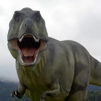 Profile image of 김불린 따까리들