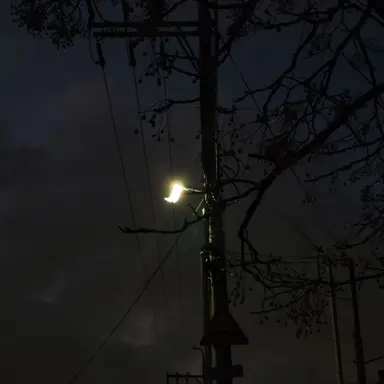 Profile image of 김일영