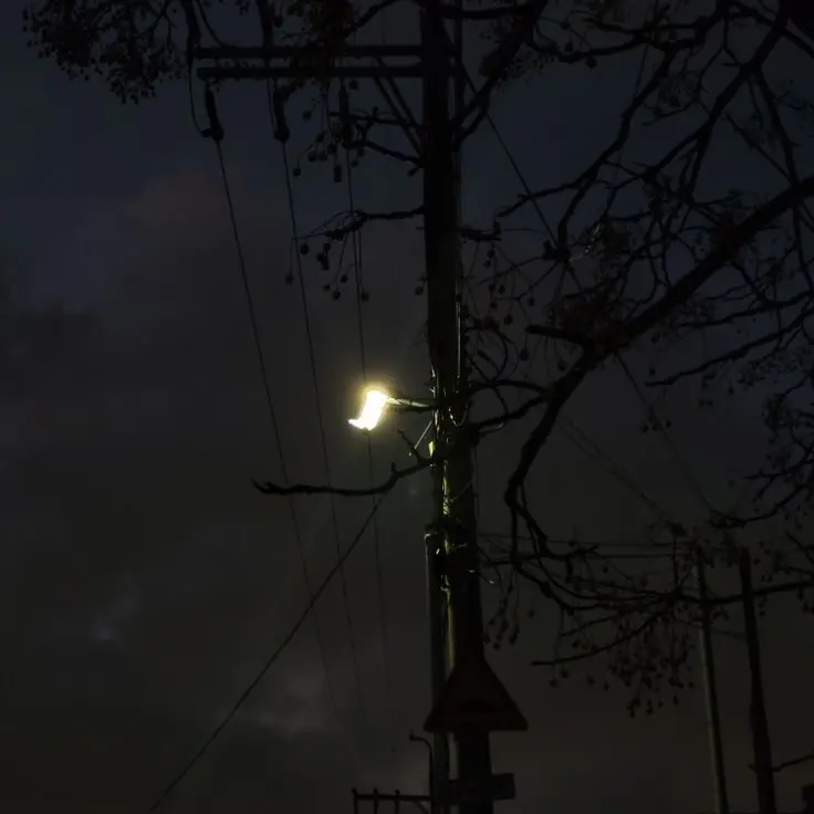 AwareFranc7527의 김일영