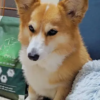 Profile image of ハル