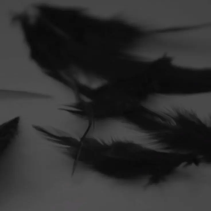 as.의 -