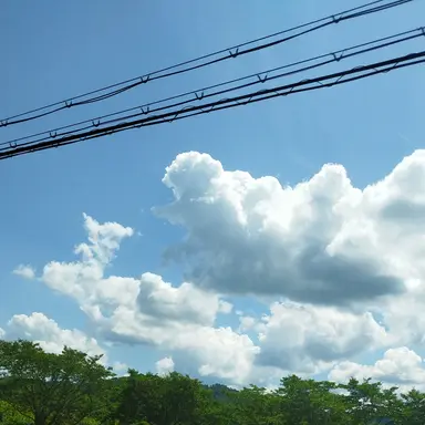 Profile image of ヘタキャラ