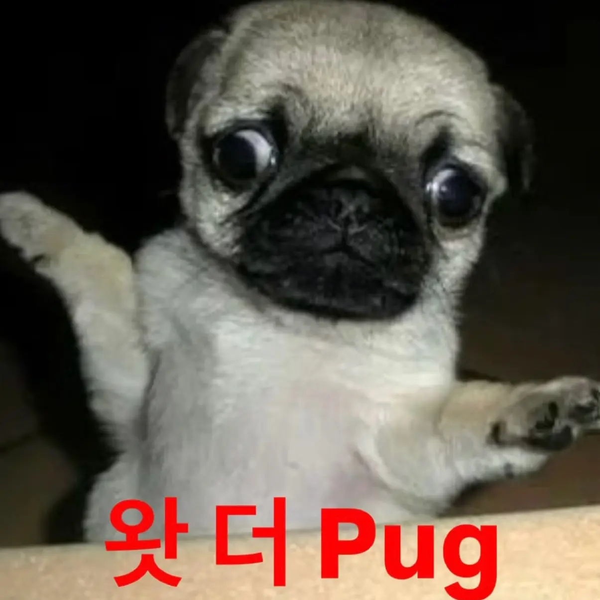 Maybeimafish의 장준경