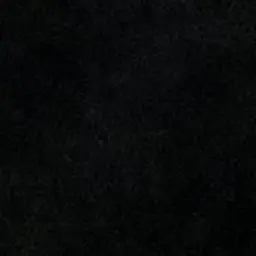 1988.8818e의 권지용