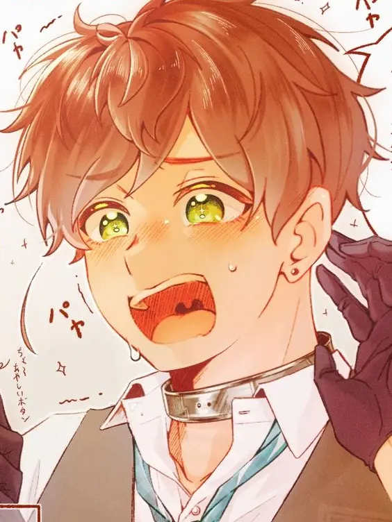 LR0209의 エルソルさんに拾われました