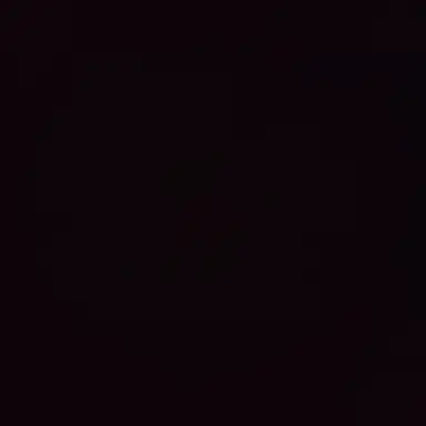 Profile image of 손설아