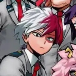 Profile image of Shoto Todoroki