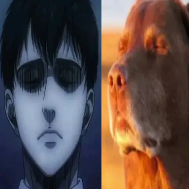 Profile image of Bertolt Hoover