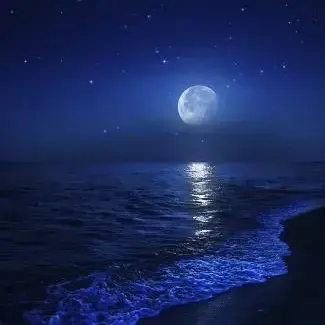 Profile image of Your Own Story