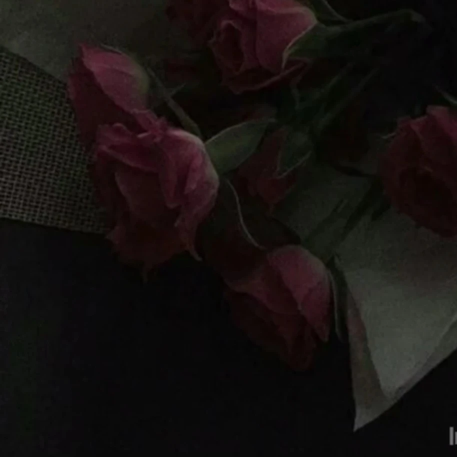 이타누키 히카리