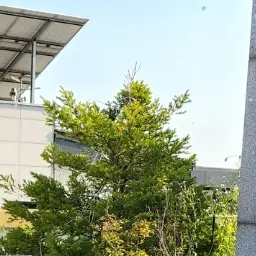 pppppppppppppppppppppppppppppp의 팀나빠 폐가체험 +여우