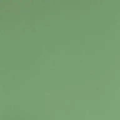 Profile image of 알리