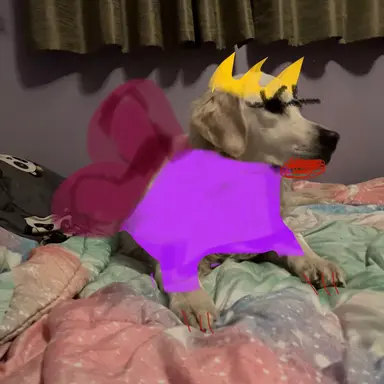 Profile image of Neal