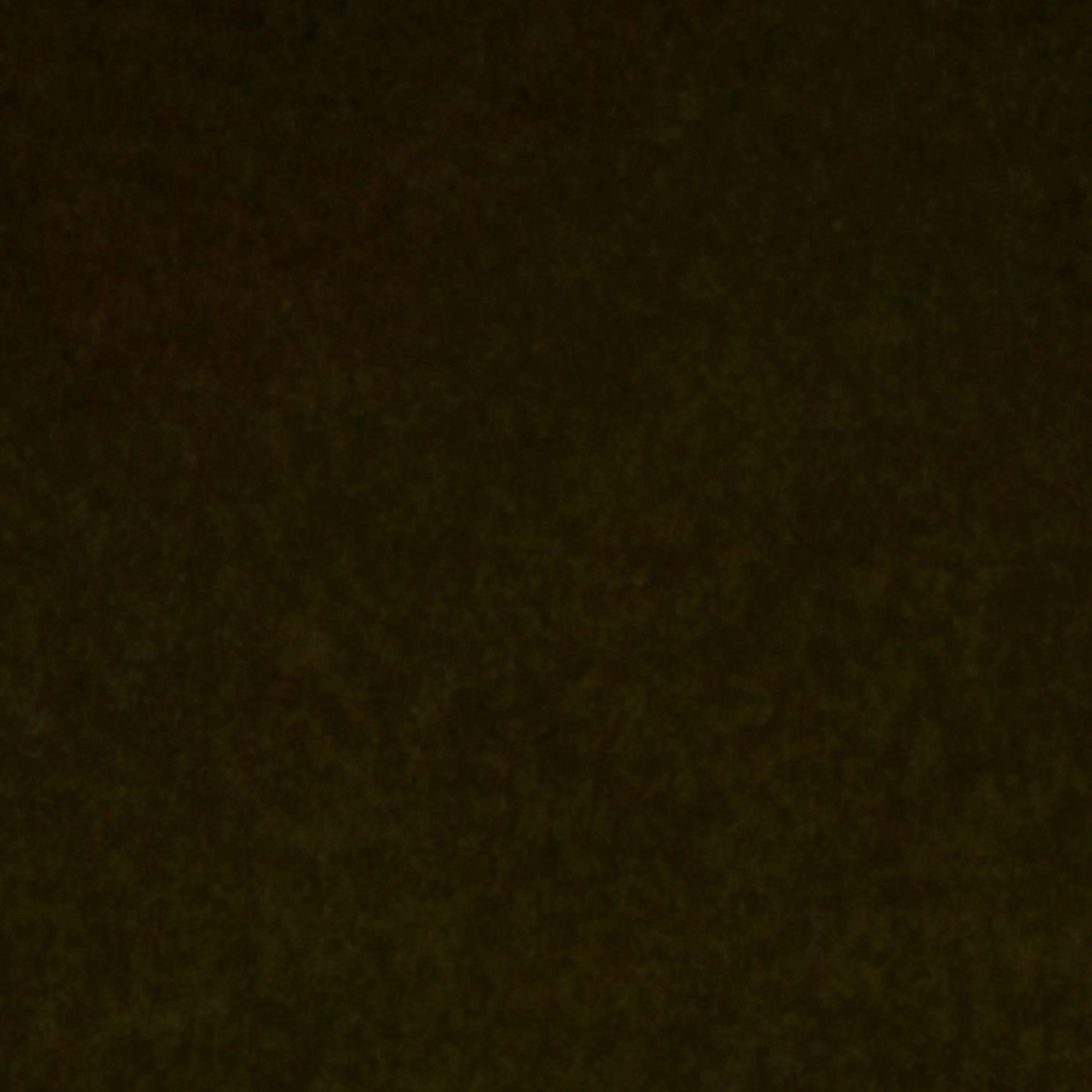 LongFatty3427의 한동민