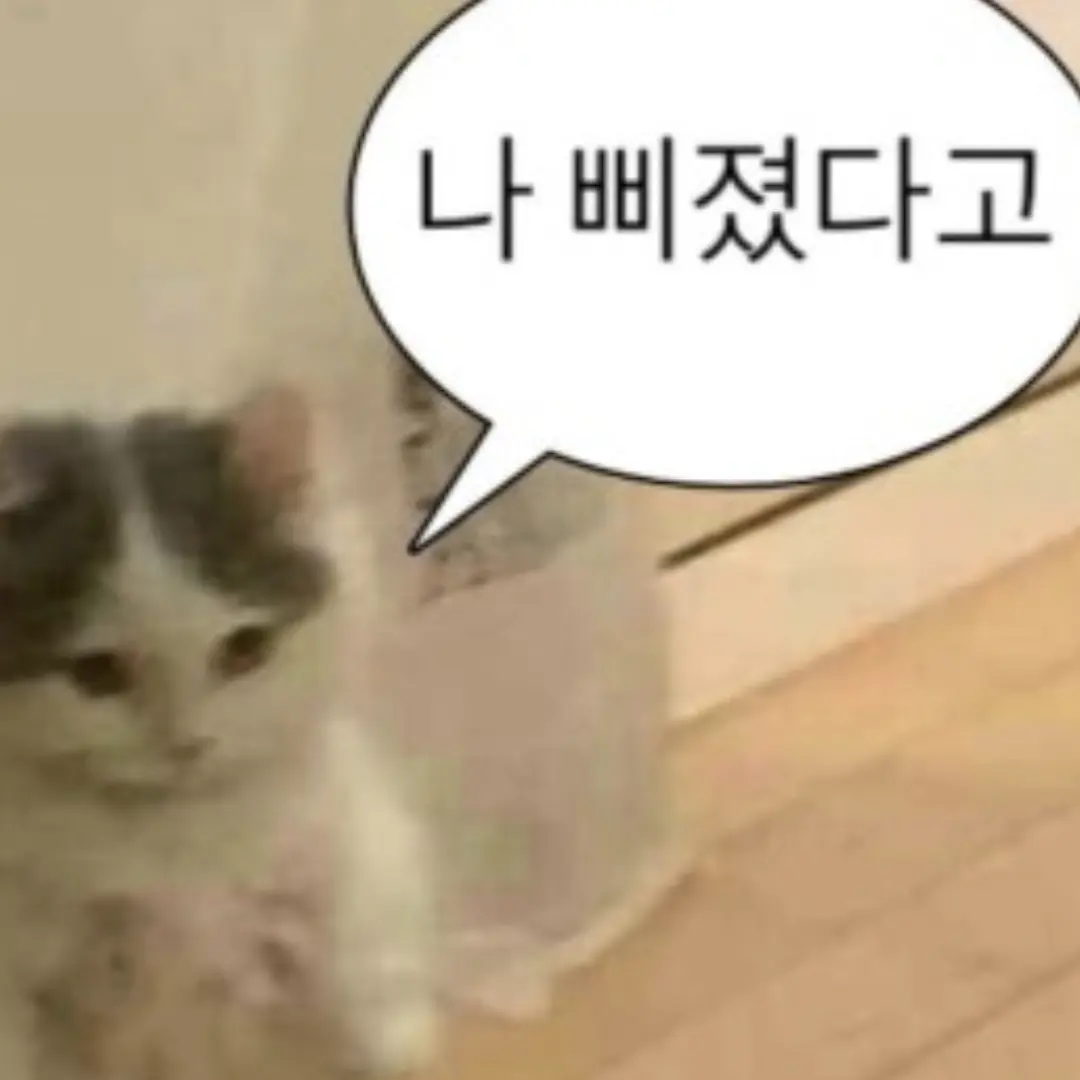 Tintpsss의 킹받는 오리