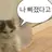킹받는 오리